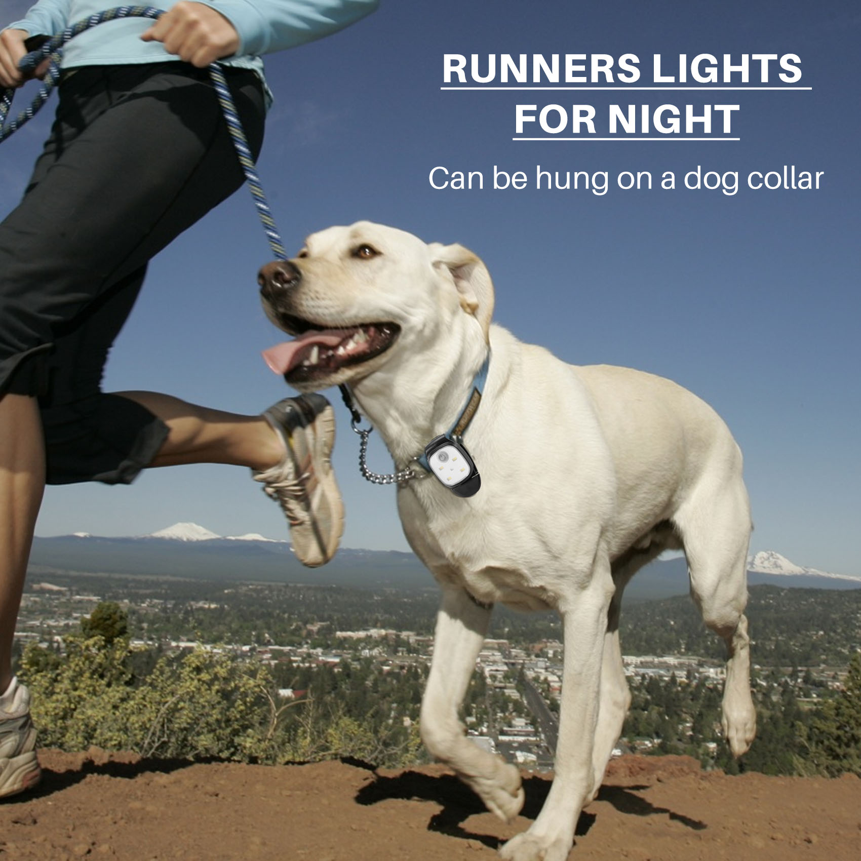 XSXS-Outdoor Night Clip On Lau – Running Gear Reflective Bewertung und Preis